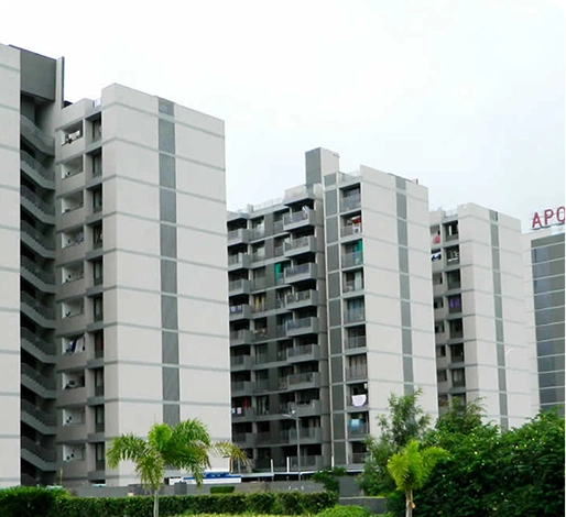 Apollo DB City, Nipania