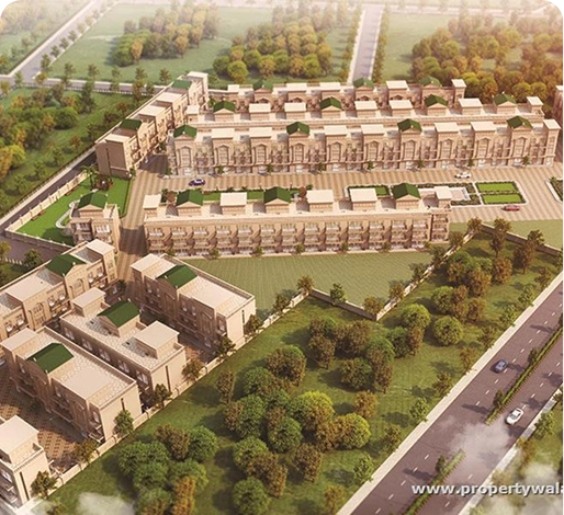 Signature Sunrise The Premium