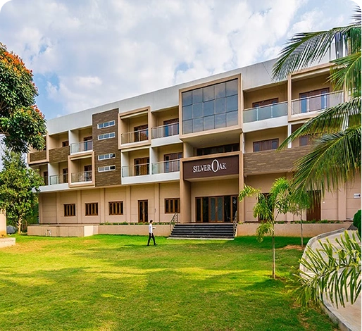 Silver Oak, Lake Town