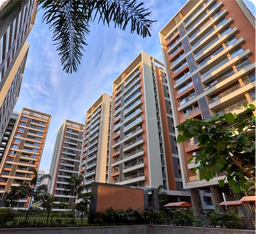 Shreepad Park Arena, PAL