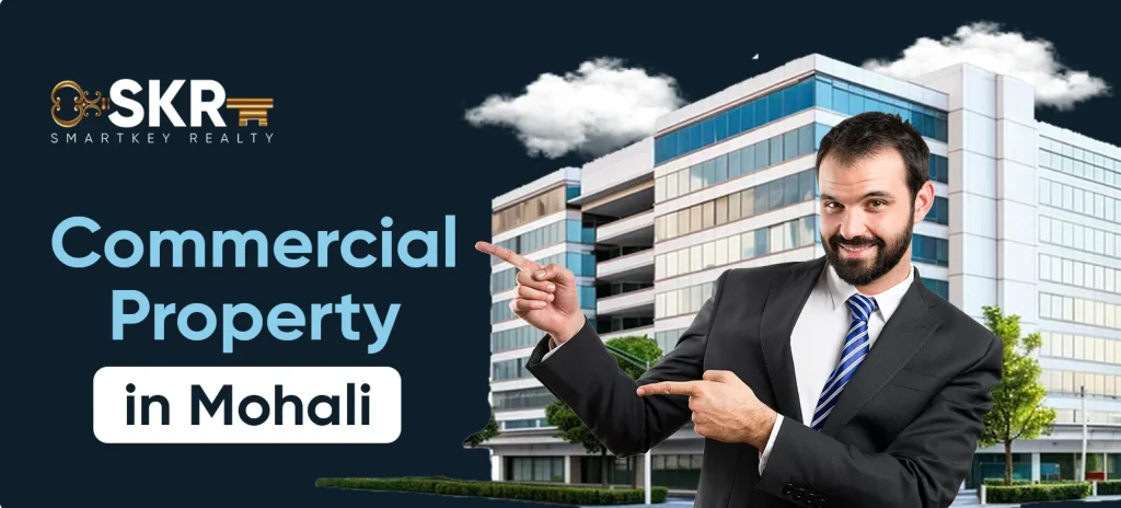 Commercial Property in Mohali