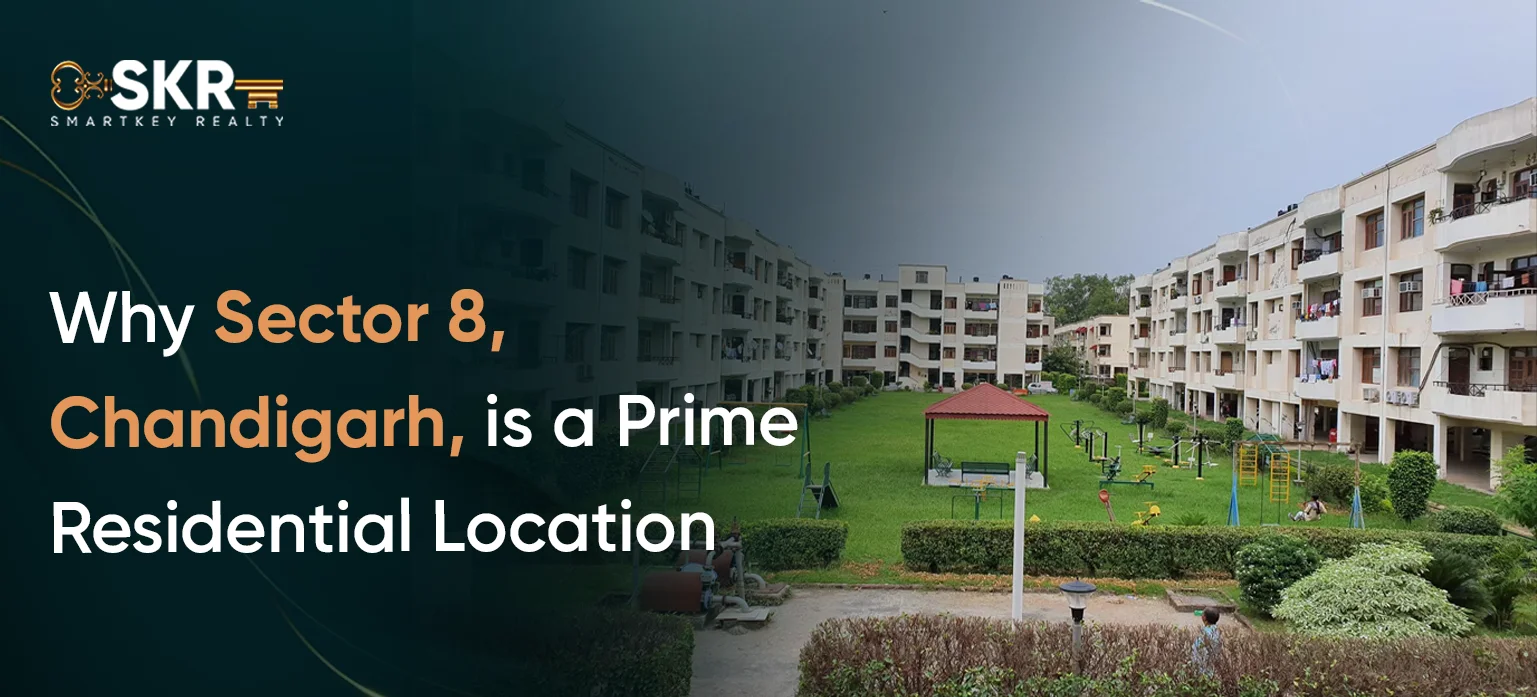Why Sector 8, Chandigarh, is a Prime Residential Location